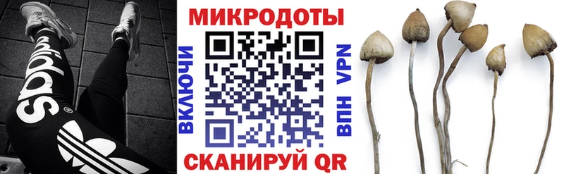 Галлюциногенные грибы Magic Shrooms  Пласт 